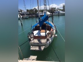 Buy 1978 Custom Windo 39