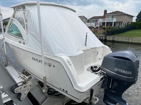 Buy 2020 Sailfish 245Dc