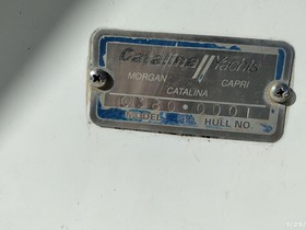 Buy 1996 Catalina C380