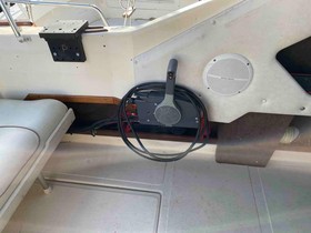 1989 Sea Ray 260 Sundancer kaufen