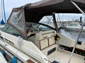 Buy 1989 Sea Ray 260 Sundancer