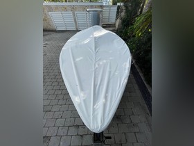 Buy 2017 Dragonfly Flat