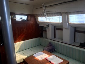 1977 CAL 46 te koop