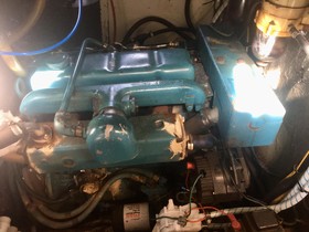 1977 CAL 46 kopen
