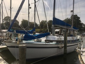 1977 CAL 46 te koop