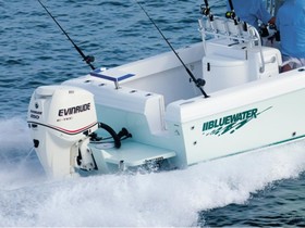 2022 Bluewater Sportfishing 23T