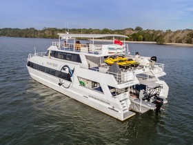 2009 Custom Seaview Catamaran