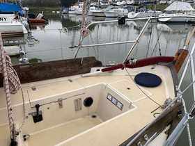 1993 Frances 26