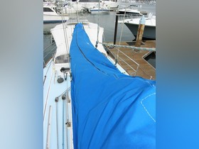 Buy 1982 Warwick Cardinal 46