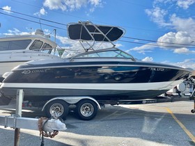 2004 Cobalt 240 til salg