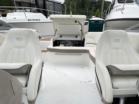 2004 Cobalt 240 til salg