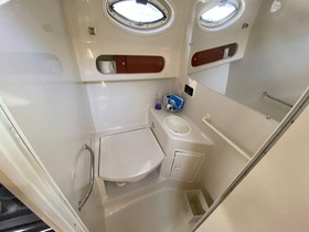 Buy 2006 Monterey 302