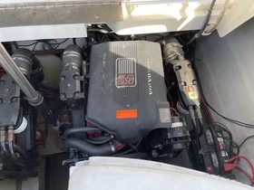 Buy 2003 Cobalt 282