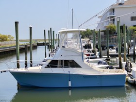 Custom Carolina Convertible Sportfish