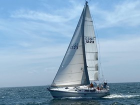 Catalina 36