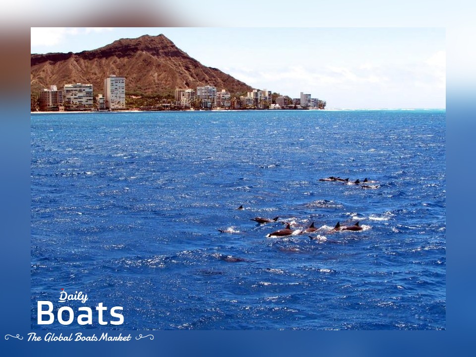 1974 Custom Hawaii Pirate Ship Adventures for sale. View price, photos