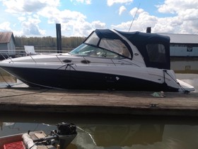 Sea Ray 300 Sundancer