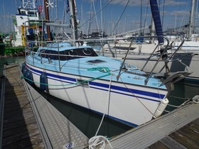 Buy 1993 Wrighton Bi-Loup 88