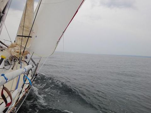 2009 C&C 115