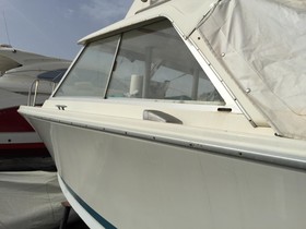 1970 Bertram Riva - 25