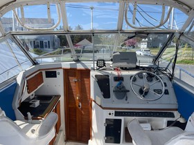 Buy 1984 Phoenix Express Cruiser