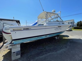 1984 Phoenix Express Cruiser