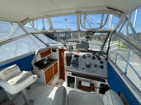 Buy 1984 Phoenix Express Cruiser