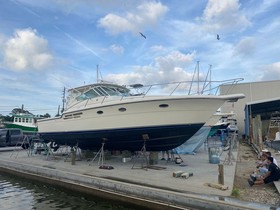 Tiara Sport 410