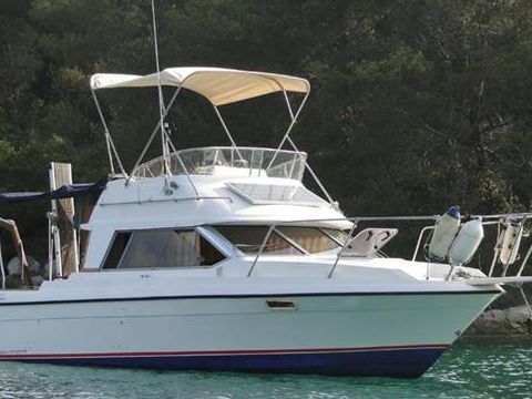 Bayliner 2556 Flybridge