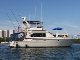 Hi-Star Sportfish