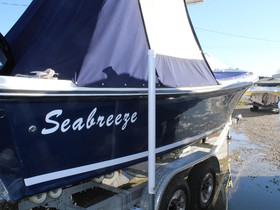 2018 Seabreeze 2300 Cc на продаж