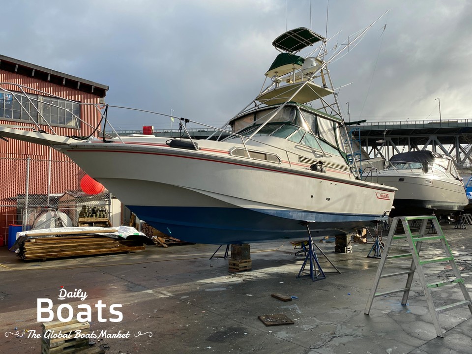 1989 Boston Whaler Sport for sale. View price, photos and Buy 1989