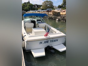 Buy 1995 Limestone 24 Runabout