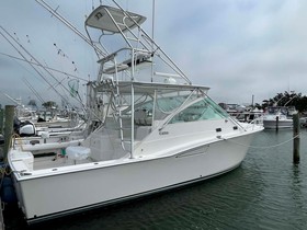 Buy 2002 Cabo Express