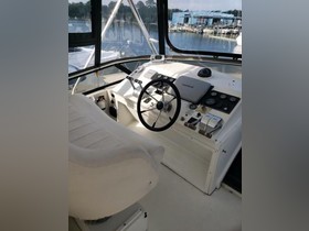Kupić 1997 Navigator 53