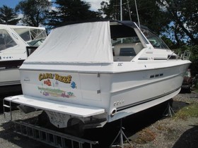 Sea Ray 390 Express Cruiser