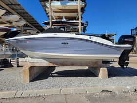 2021 Sea Ray 19 Spx Ob for sale