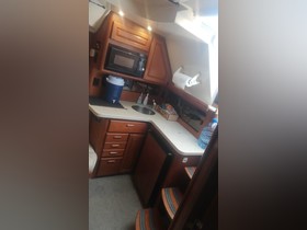 1999 Luhrs 36Sx Open kopen