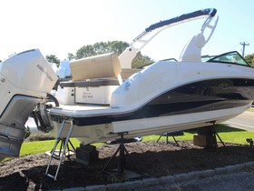 Buy 2022 Sea Ray 250 Sdx Outboard
