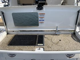 2018 Sea Ray 350 Sundancer Coupe