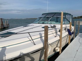 1995 Sea Ray Express Cruiser for sale