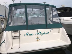 1995 Sea Ray Express Cruiser zu verkaufen