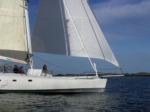 1987 Tek 50