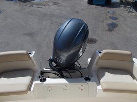 2022 Scout 195 Sport Fish for sale