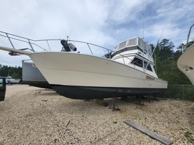 1988 Viking Convertible for sale