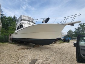 1988 Viking Convertible for sale