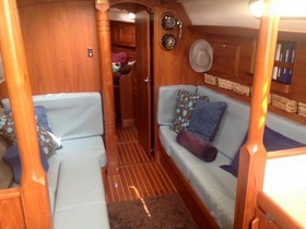 Buy 2013 Rustler 36