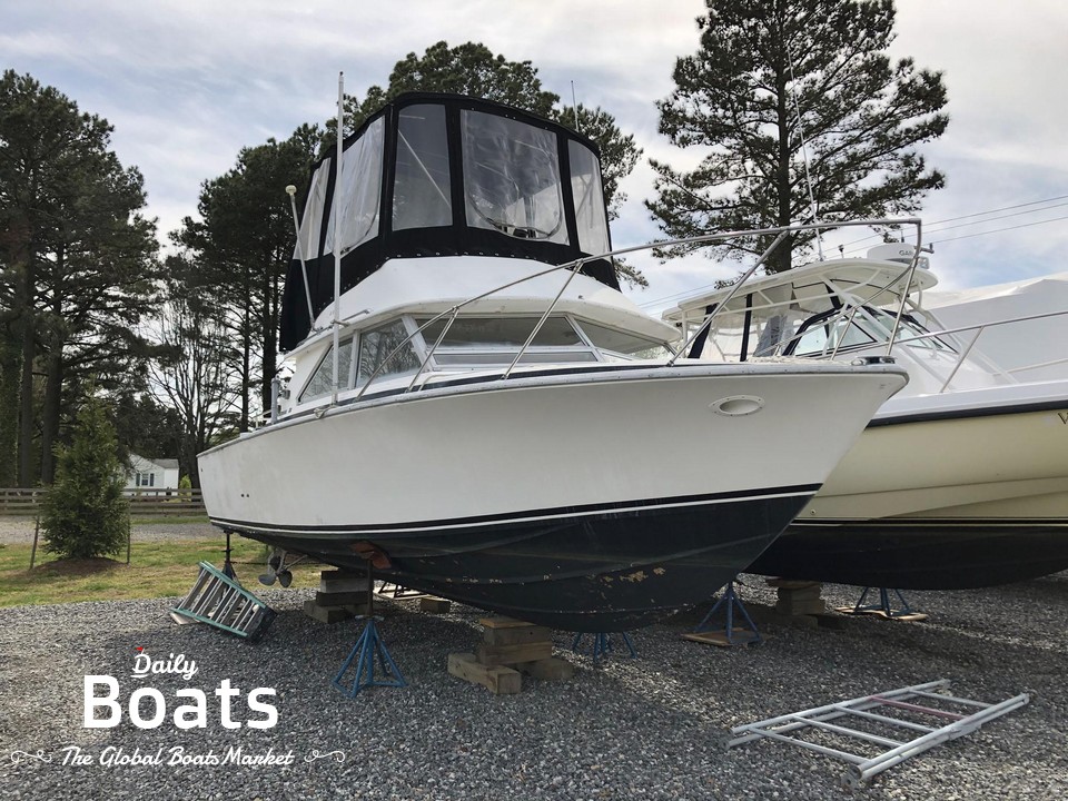 1976 Bertram 28 Flybridge Cruiser for sale. View price, photos and Buy