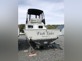 1976 Bertram 28 Flybridge Cruiser