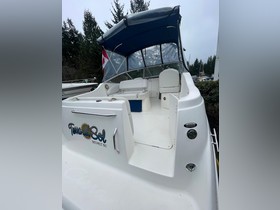 Acquistare 2005 Bayliner Sunbridge 245